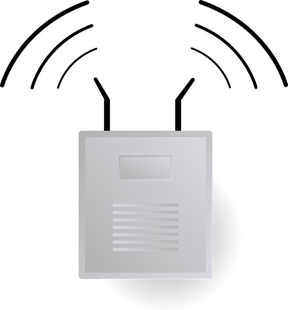 Wireless Access Point