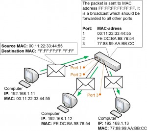 Broadcast Forwarding in a Switch